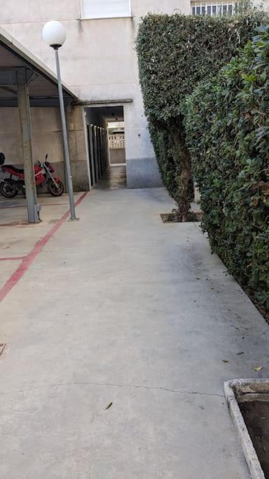 Apartamento En Daimus Kültér fotó
